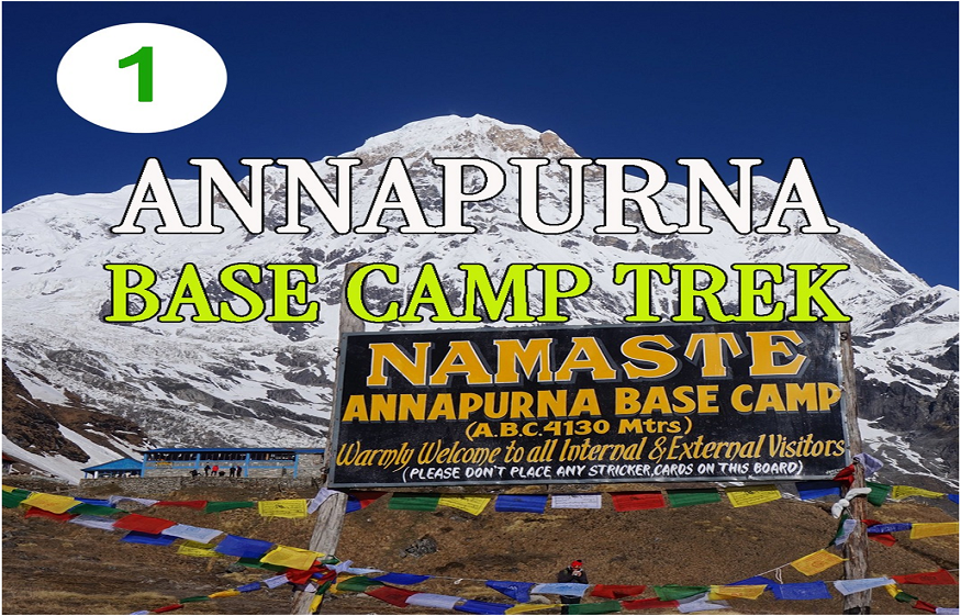 Between Earth and Sky: The Himalayan Wonder